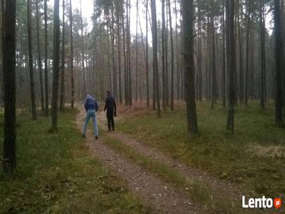 Działki nad rzeką Warta Sprzedam