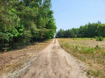 Piękne działki 4 km od Gostynina w otulinie lasu