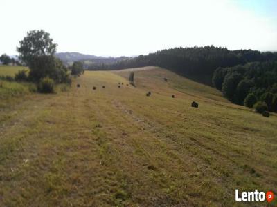 Prześliczna działka u stóp Gór Sowich