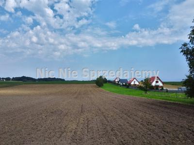 Brzeski, Dębno, Sufczyn