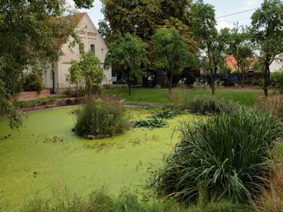 Reymonta Niemodlin Opolski Opolskie Biuro Nieruchomości