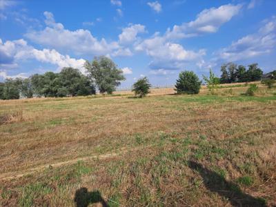 Działka na sprzedaż, Nowodworski, Nowa Mała Wieś