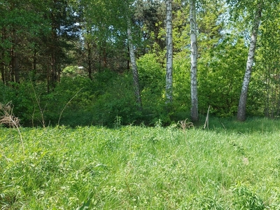 Działka inna Marylka