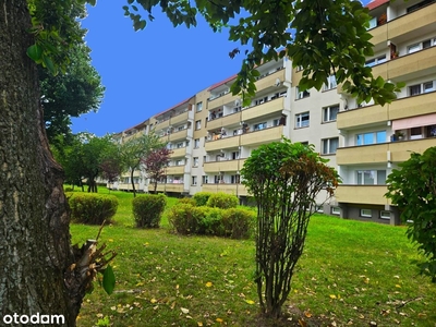 3-pokojowy apartament inwestycyjny 45m2 + balkon