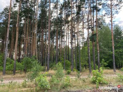 Działka budowlano-leśna, 3 000 m2, ul. Śnieżna, 200 000 zł