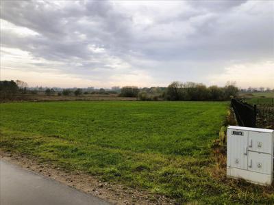 Działka na sprzedaż, Golubsko-Dobrzyński, Zbójno