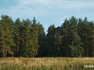 DZIAŁKA LEŚNA- 77 arów