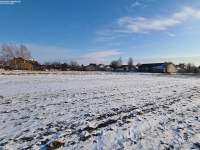 Zamojski, Zamość, Sitaniec