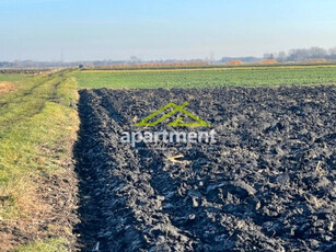 Działka rolna Sępichów