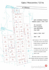 Działka inwestycyjna budowlana / usługowa- 5,5 ha / Gąba / Mszczonów