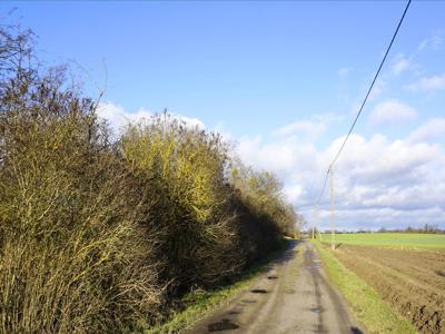 Działka na sprzedaż, Wałecki, Dobino