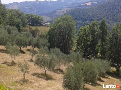 we włoszech umbria duża posiadłość w pobliżu miasta Gubbio