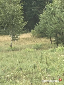 Atrakcyjna działka budowlana w super cenie, możliwość rat