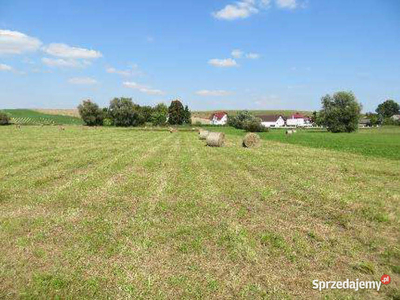 Syndyk sprzeda nieruchomość gruntową.