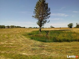 Działka nad morzem ;) !!! Inwestycja Prozdrowotna :)!!! :):)