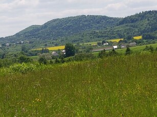 Las, Działka leśna, inwestycyjna Brzeziny Podkarpackie, 1,78 ha