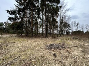 SIERZCHÓW - Działka 8 000 m² z wydanym WZ-6 domów