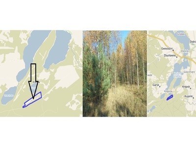 Działka na sprzedaż 101 300,00 m²