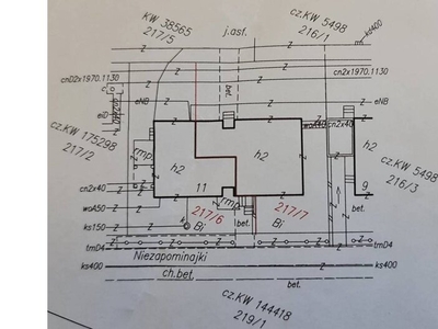 Lokal użytkowy na sprzedaż 250,00 m²