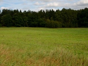 Działka budowlana Czerniewo