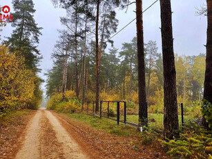 Działka budowlana Dzikie-Kolonia