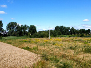 Działka budowlana Gniezno