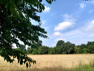 Działka budowlana Orle Wielkie