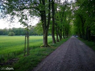 Działka budowlana Rozalin