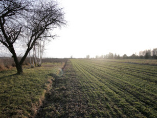 Działka budowlana Skrobów-Kolonia