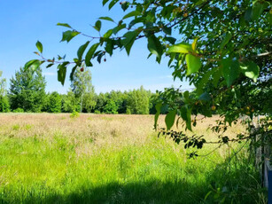 Działka budowlana, ul. Jedlińska