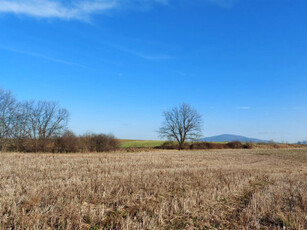 Działka budowlana Wilków