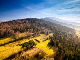 Działka leśna Stryszawa