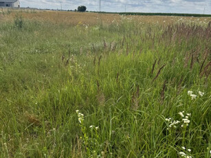 Działka przemysłowa Leszno