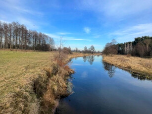 Działka rolna Kowalewko