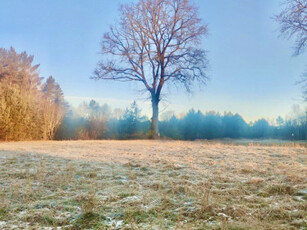 Działka rolno-budowlana Gostyń