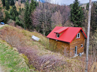 Nowosądecki, Piwniczna-Zdrój, Podbukowiec