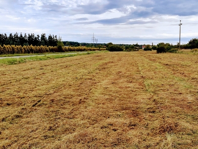 Ciągowice - zabudowa zagrodowa 2500m2