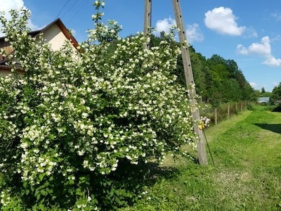 Dom w Bieszczadach