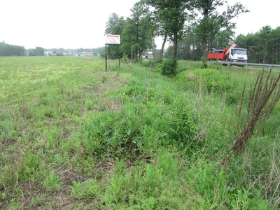 Działka budowlana inwestycyjna Mińsk Maz z wjazdem przy trasie 50, A2.