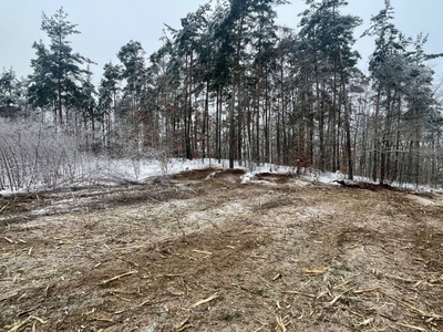 Działka budowlana z własnym lasem, Kaszuby, Sulęczyno