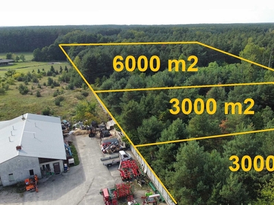 Działka 3000 m2 miasto SKĘPE przy DK10