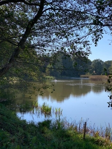 Działka linia brzegowa Narew Stawinoga blisko Serock