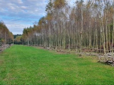 Działka na sprzedaż, przy lesie, media w drodze.