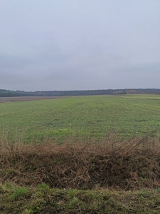 Działka rolna- budowlana, inwestycyjna 5,34 ha