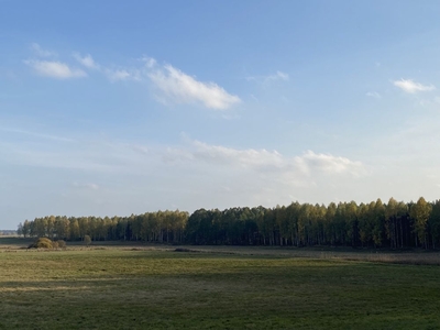 Działka rolna Szuć obok lasu i niedaleko jezior 30ar!