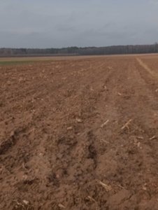 Działki rolne w okolicy Juchnowca Kościelnego sprzedam