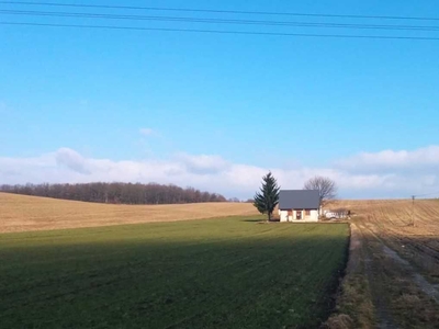 Siedlisko Nieledew. Duży dom, garaż, budynek gospodarczy. Działka 1ha