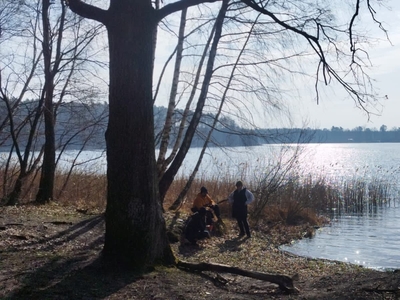 Sęk 1500 m2 z lasem,Uzbrojona,WZ,j.Józefowo,Drwęca,okolice Brzozówki