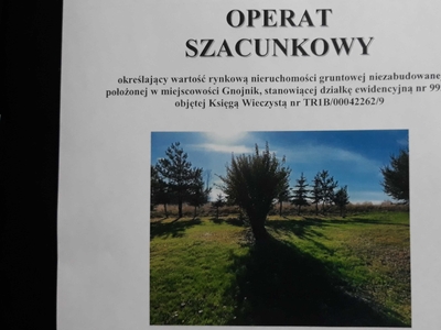 Syndyk ogłasza konkurs na sprzedaż nieruchom. syg.akt VIII GUp419/18/s