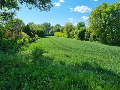 Uzbrojona działa 5600m2, Szewna/Ostrowiec Św.